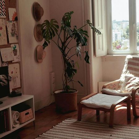 Coimbra Erasmus House - Guest House Dış mekan fotoğraf