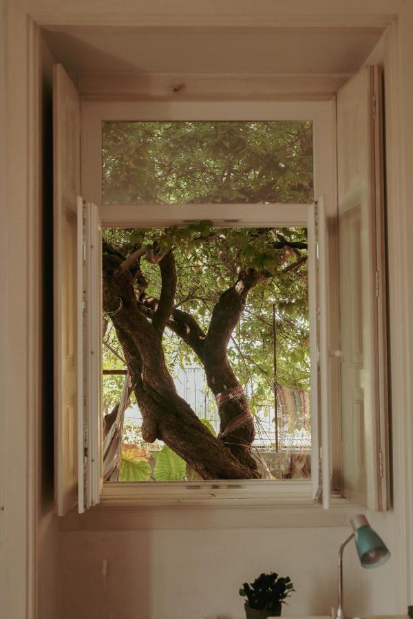 Coimbra Erasmus House - Guest House Dış mekan fotoğraf
